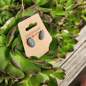 May include: Gray, handmade stud earrings in the shape of pill bugs, displayed on a brown card with the text "Handmade with love". The earrings are set against a backdrop of green succulent leaves.