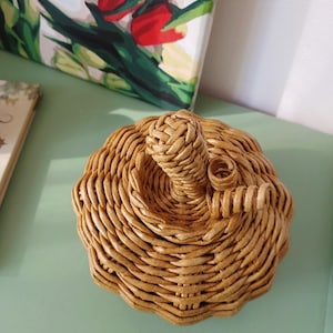 May include: A pumpkin-shaped decorative object crafted from woven light brown material. The item features a rounded, ribbed body with a central stem and a small, coiled vine-like detail extending from the top, showcasing a textured, hand-woven finish.