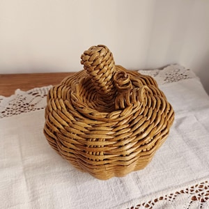 May include: A pumpkin-shaped basket woven from light brown material. The basket features a rounded, ribbed body with a central stem and a small, curled vine detail on top. The woven texture is consistent throughout the entire structure.