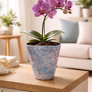 May include: A potted orchid with vibrant purple flowers and green leaves. The plant is in a decorative blue and pink speckled pot, sitting on a wooden table. The background includes a couch and other plants, creating a serene indoor scene.