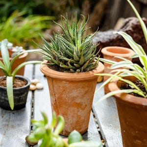 4Pcs 3.54&#39;&#39; Terra Cotta Flowerpot with Drainage - Vintage Handmade Clay Planter for Succulents and Cactus Indoor & Outdoor Wedding Gift