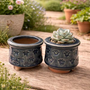 May include: Two small, blue ceramic flower pots with a floral pattern. One pot contains a succulent plant. The pots have a rounded shape and sit on small, light-colored feet. The background shows a garden setting with other potted plants.