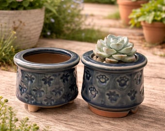 2 PCS Small Ceramic Succulent Planter Pot with Drainage,  2.5" Handmade Ice Crack Glaze Container for Cactus, Plant Lover Gifts Home Decor