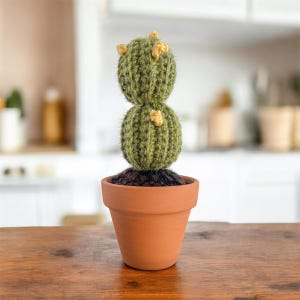 Peut inclure: Un cactus vert à deux niveaux fait à la main, avec des accents jaunes, fabriqué à partir de fil. Le cactus est placé dans un petit pot en terre cuite non émaillée. Un objet décoratif unique.
