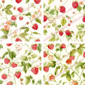 May include: Four-panel image featuring a repeating pattern of red raspberries, green leaves, and delicate pink and white flowers on a cream background. The design has a vintage, botanical illustration style, with the text "LaVerveStudioLaVerveStudioLaVerve" in the corners.
