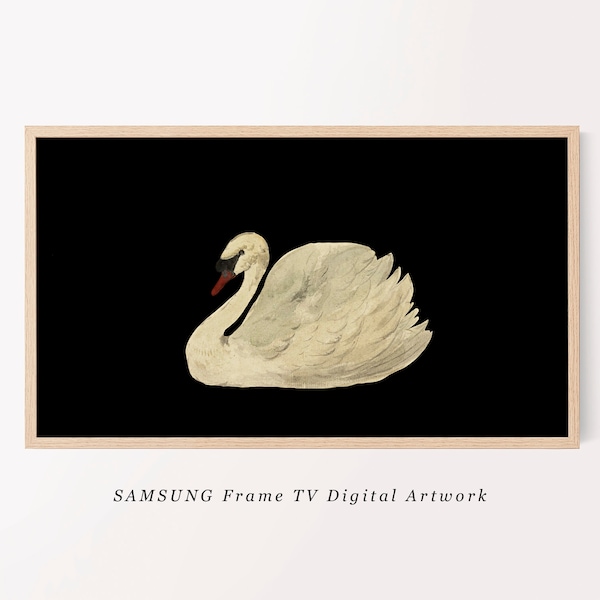 peinture à l’aquarelle de cygne vintage | Samsung Cadre TV Art | Illustration de télévision de ferme moderne | Art mural neutre pour téléviseur Samsung