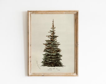 Neutral Christmas Tree Wall Art | Vintage Printable Holiday Decor | Rustic Winter Tree Print