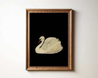 Vintage Swan Painting on Black Background | PRINTABLE Digital Downloads | Antique Swan Oil Painting | Gallery Wall Digital Art