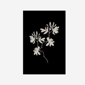 May include: A black and white illustration of a stylized flower with delicate petals and stems.
