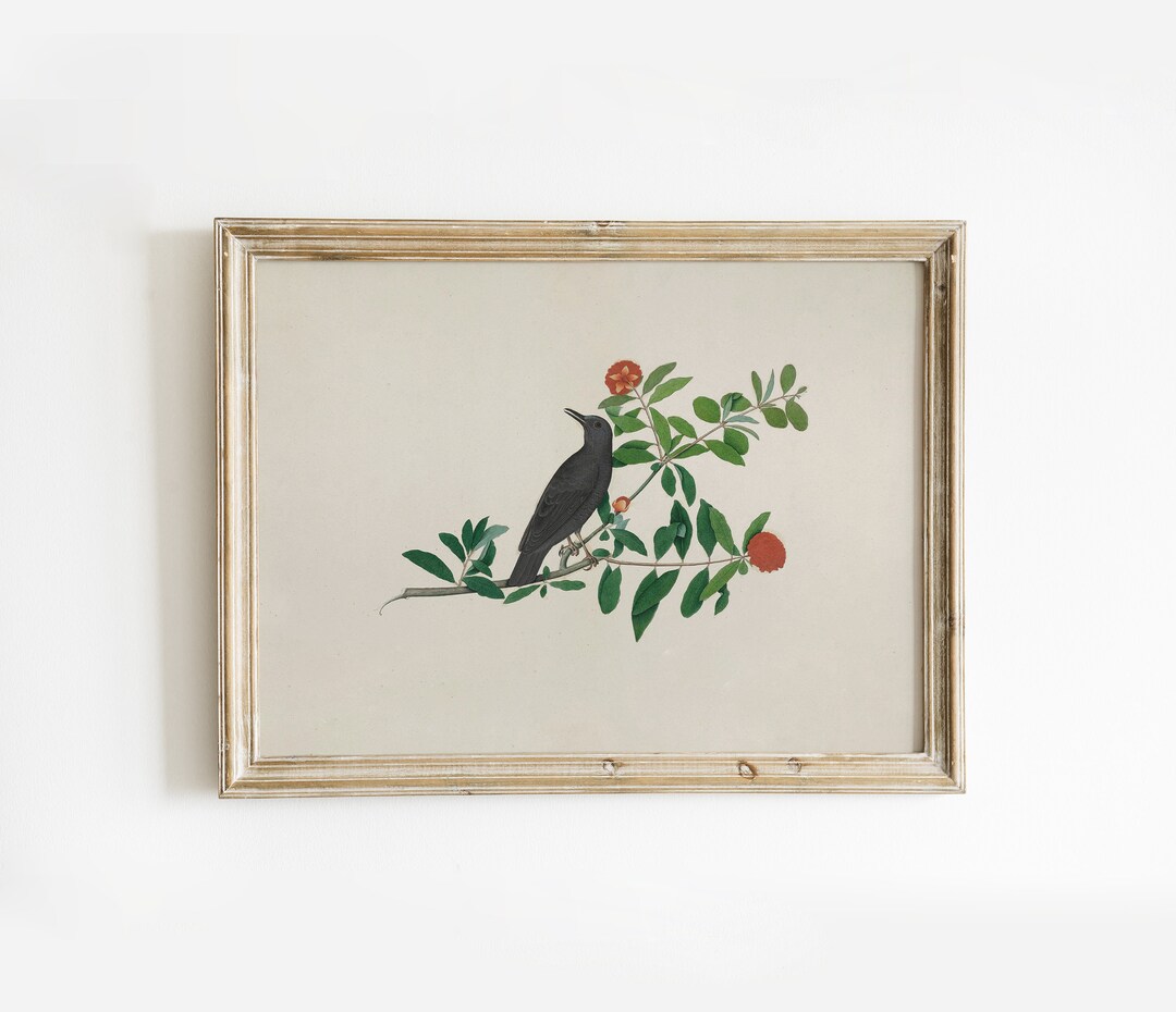 Vintage Bird Drawing Wall Art Neutral Bird Downloadable Print Botanical