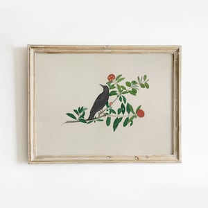 Dibujo de pájaro vintage para pared / Impresión descargable de pájaro neutro / Decoración de pared de guardería con estilo botánico y estilo rural moderno