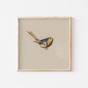 Vintage Bird Print | Downloadable Printable | Nursery Wall Decor | Summer PRINTABLE Artwork | Gallery Wall Art