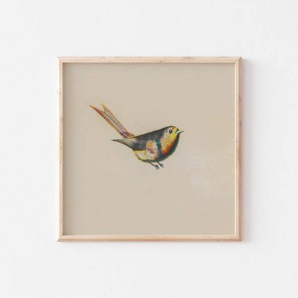Vintage Bird Print | Downloadable Printable | Nursery Wall Decor | Summer PRINTABLE Artwork | Gallery Wall Art