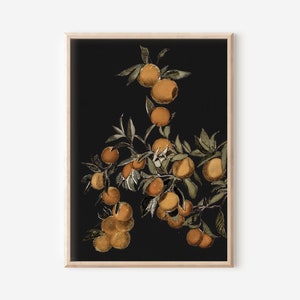Kunstdruck Landhaus | Gemälde von Orangen Früchten | Vintage Moody Art druckbare digitale herunterladbare Wandkunst