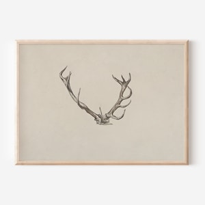Vintage Deer Antlers Sketch Print: Holiday Wall Art, Digital Download