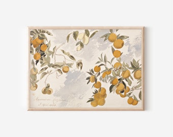 Vintage Still Life Print | Downloadable Print | PRINTABLE Wall Art | Digital Artwork | Digital Download | Farmhouse Decor | Oranges | Lemons