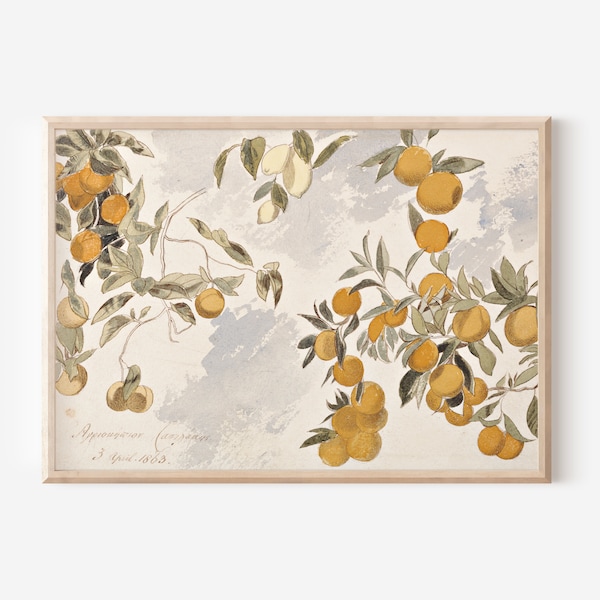 Vintage Still Life Print | Downloadable Print | PRINTABLE Wall Art | Digital Artwork | Digital Download | Farmhouse Decor | Oranges | Lemons