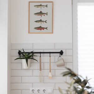 May include: A white tiled kitchen wall with a framed print of four different types of fish. A black metal bar with hooks hangs below the print, with a white ceramic mug and wooden kitchen utensils hanging from the hooks. A potted succulent plant hangs from the bar. A white electrical outlet is visible below the bar.