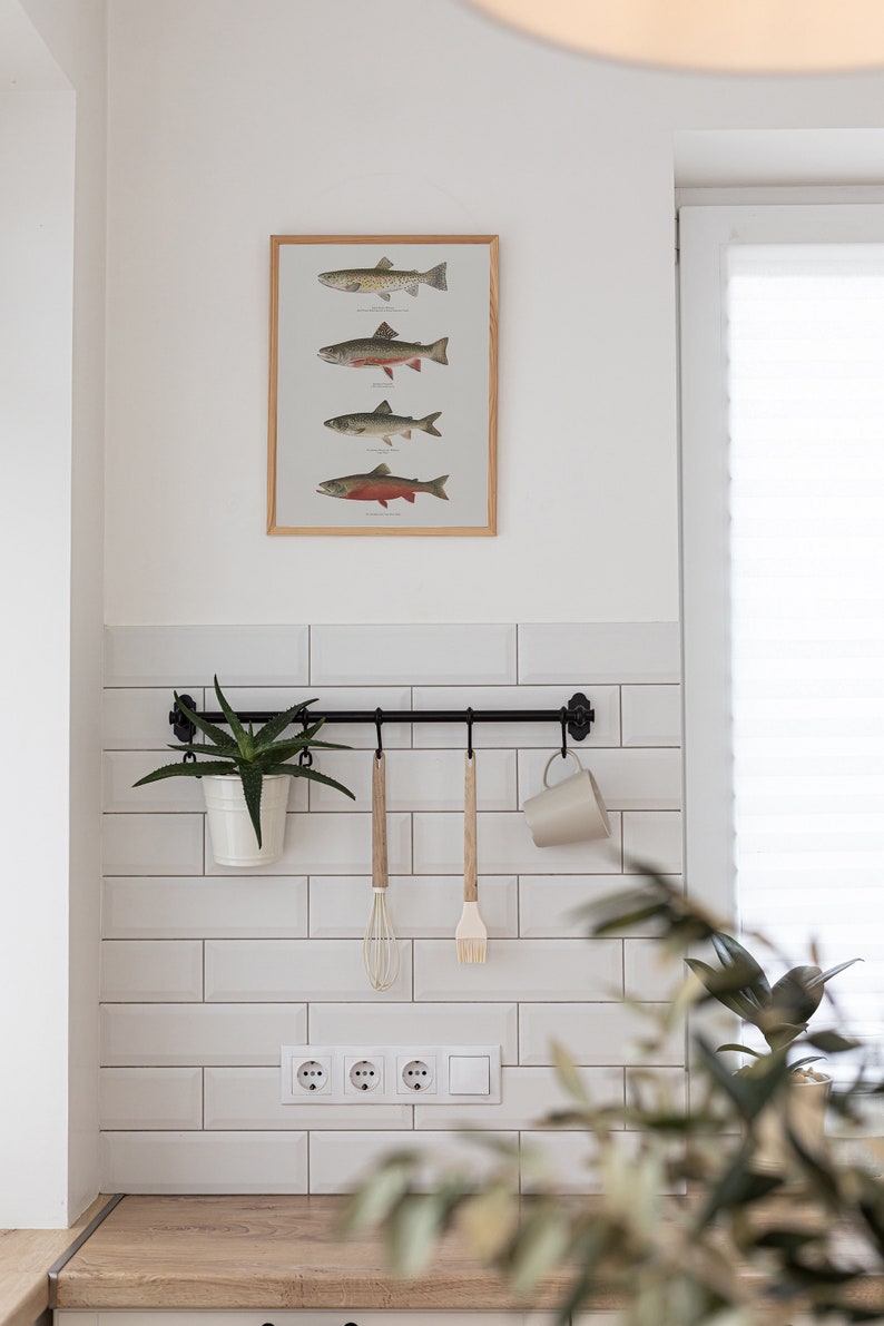 May include: A white tiled kitchen wall with a framed print of four different types of fish. A black metal bar with hooks hangs below the print, with a white ceramic mug and wooden kitchen utensils hanging from the hooks. A potted succulent plant hangs from the bar. A white electrical outlet is visible below the bar.