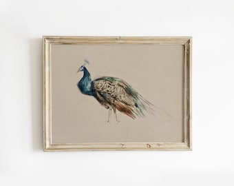 Vintage Peacock Watercolor Painting | Large Modern Farmhouse Wall Art Decor | Neutral Minimalist Bird Printable