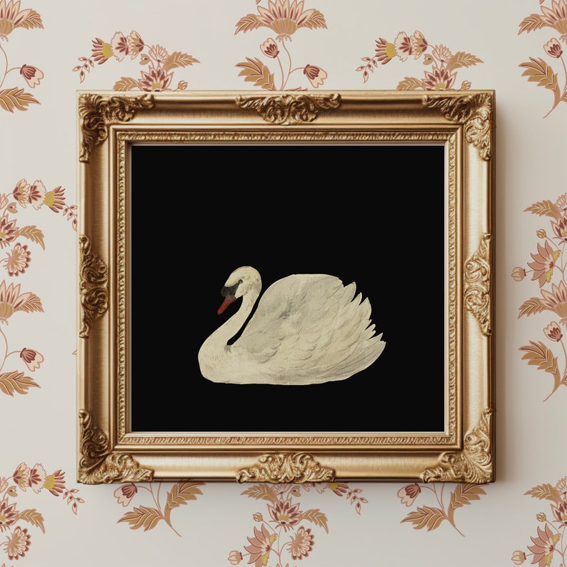 Antique Swan Watercolor Painting Neutral Wall Art Large Wall Art Minimalist Vintage Swan Print Downloadable Prints image 1