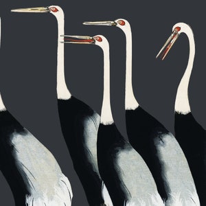 Vintage Bird Wall Art Downloadable Prints | Japanese Crane Print Farmhouse Decor | Coastal Bird Print | Bird Lover Gift image 4