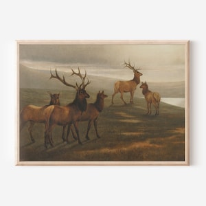 Antike Hirsch Gemälde | Herunterladbare Drucke | Zum Selberdrucken | Digitale Drucke | 19.Jahrhundert Kunst | Vintage Ölgemälde