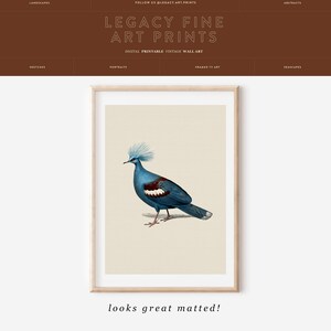 Puede incluir: Una ilustraci&oacute;n vintage de un p&aacute;jaro azul con una cresta blanca, impresa sobre un fondo crema. La ilustraci&oacute;n est&aacute; enmarcada en un marco de madera claro.