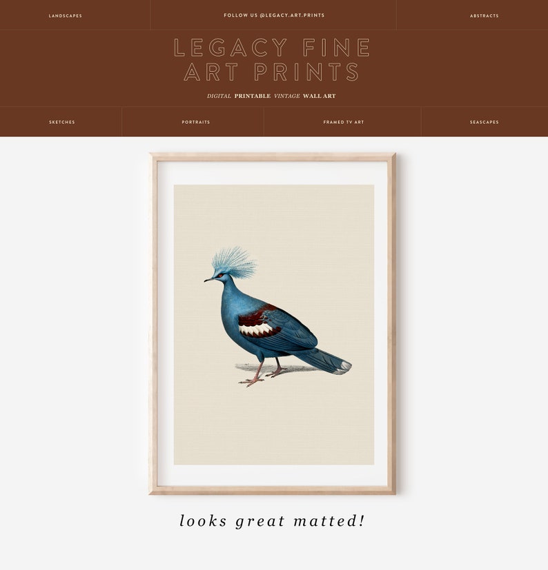 Puede incluir: Una ilustraci&oacute;n vintage de un p&aacute;jaro azul con una cresta blanca, impresa sobre un fondo crema. La ilustraci&oacute;n est&aacute; enmarcada en un marco de madera claro.