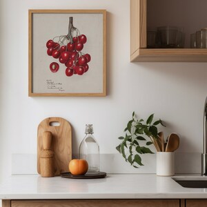 May include: A framed botanical illustration of a branch of red cherries with the text "No. 27.  Sweet Cherry.  Prunus Avium L.  Wild state.  Cultivated in the Netherlands.  Engraved by J.J.  Freyen".  A wooden cutting board, a glass bottle, a peach, and a white ceramic vase with green leafy stems and wooden spoons are on a white countertop.
