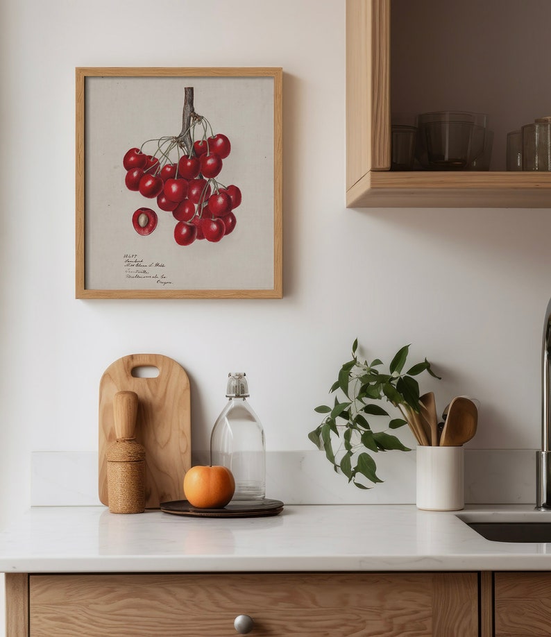May include: A framed botanical illustration of a branch of red cherries with the text "No. 27.  Sweet Cherry.  Prunus Avium L.  Wild state.  Cultivated in the Netherlands.  Engraved by J.J.  Freyen".  A wooden cutting board, a glass bottle, a peach, and a white ceramic vase with green leafy stems and wooden spoons are on a white countertop.