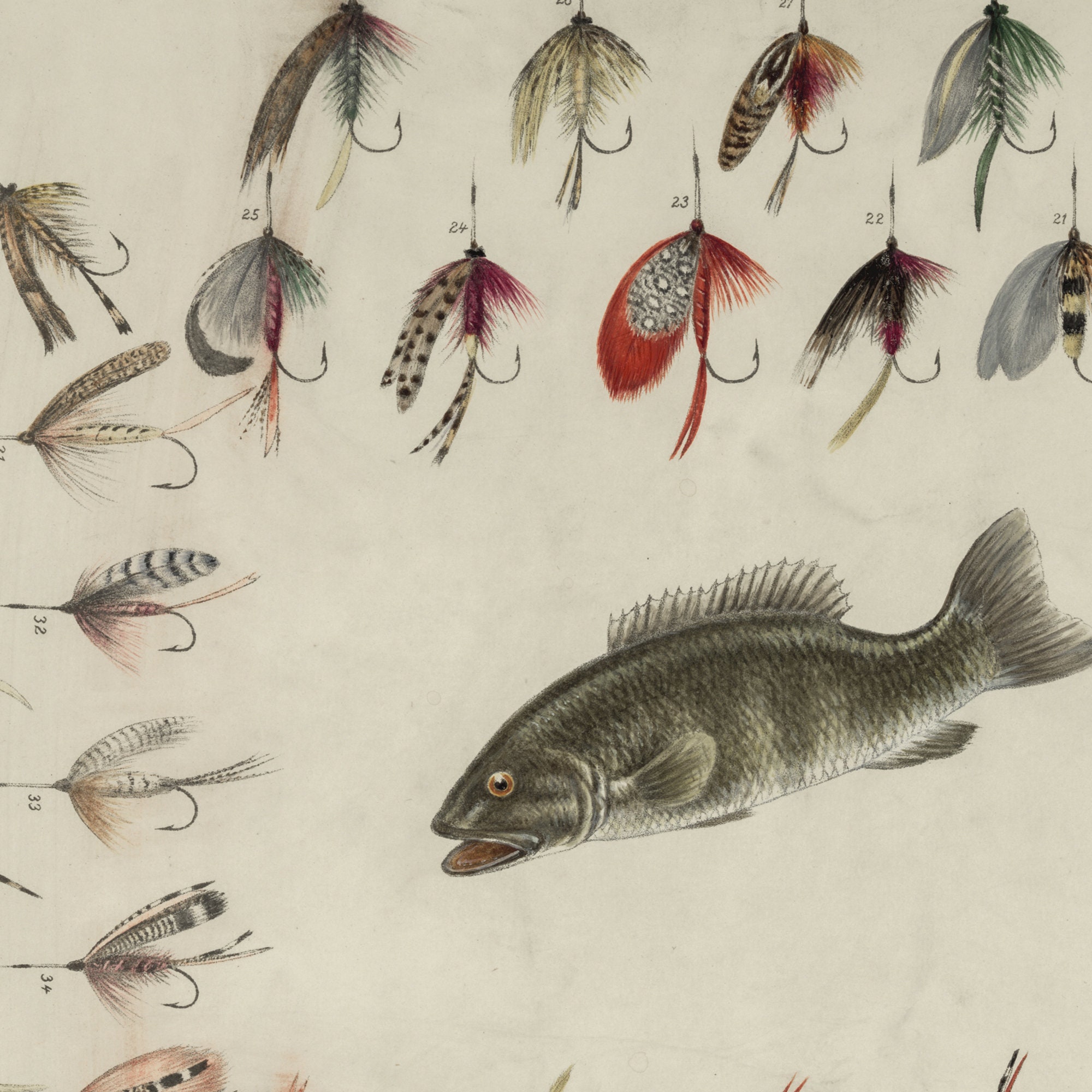 ヴィンテージフライフィッシングウォールアート | ブラックバスと