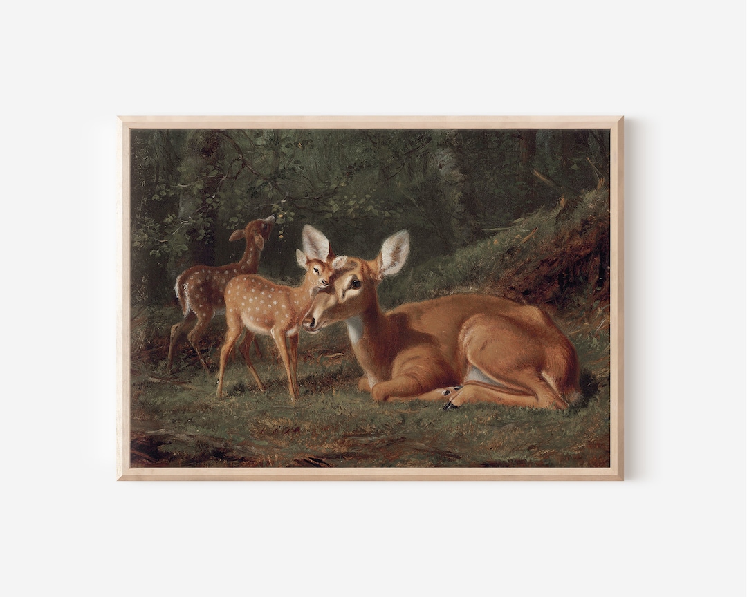 Vintage Deer Family Print | Restored 19th Century Art (digital Download ...