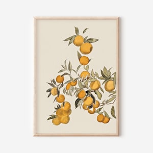 Küche Bauernhaus Wand Kunstdruck | Vintage Orange Obst Gemälde | Sommer Stillleben druckbare herunterladbare Kunst | Druckbare Vintage Wandkunst