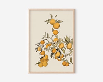 Vintage Orange Fruit Painting | Farmhouse Kitchen Wall Art (Digital Download)