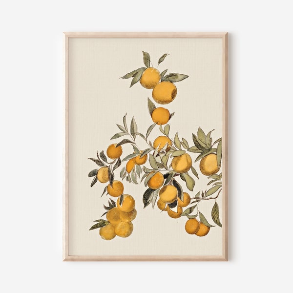 Kitchen Farmhouse Wall Art Print | Vintage Orange Fruit Painting | Summer Still Life Printable Downloadable Art | Printable Vintage Wall Art