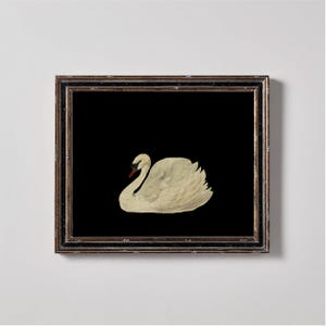 Antique Swan Watercolor Painting | Neutral Wall Art Large Wall Art | Cottagecore Decor Vintage Swan Print | Downloadable Prints