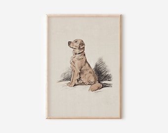 Dog Portrait Vintage Sketch Wall Art | Yellow Labrador Retriever Print | Hunting Dog Illustration Downloadable Print Nursery Decor