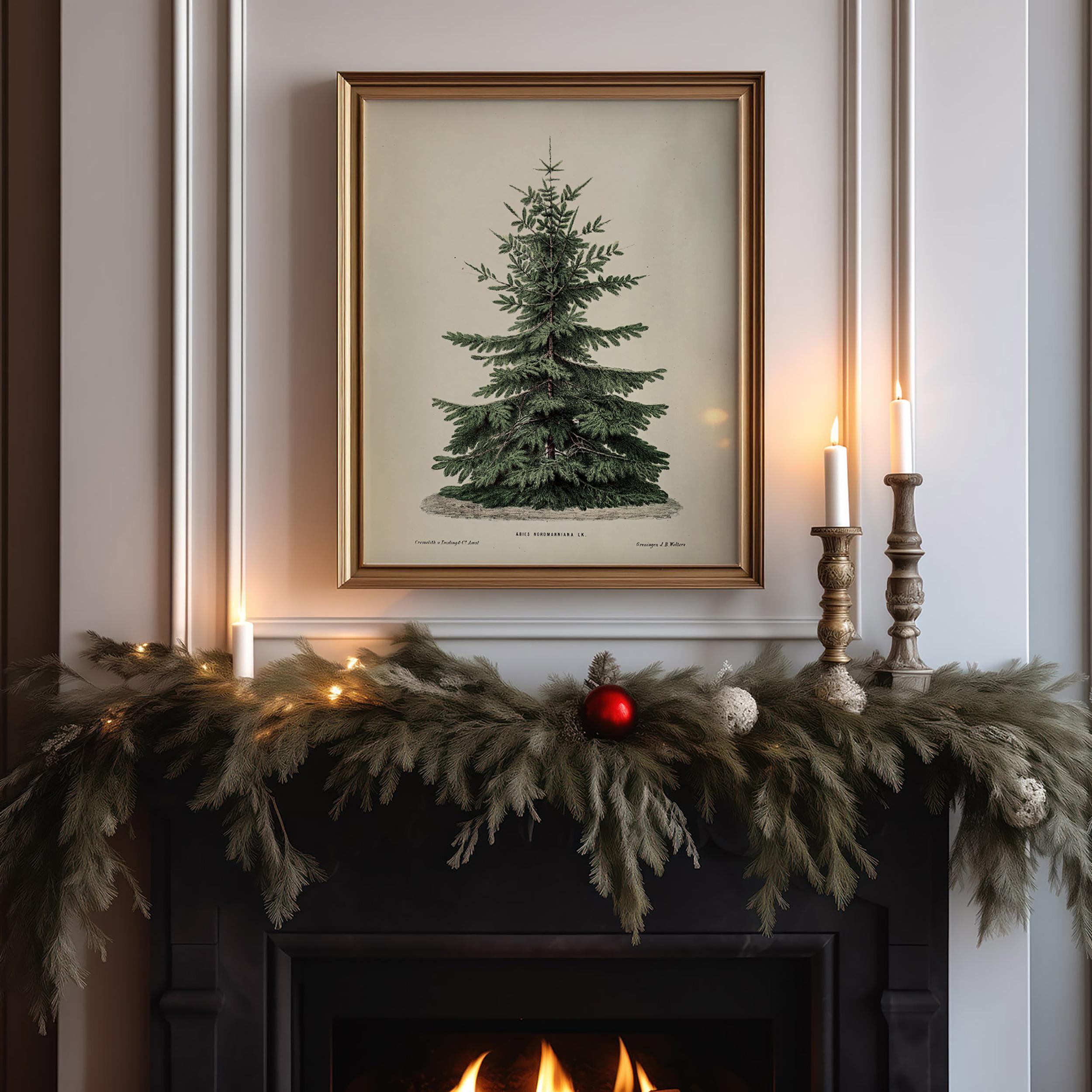 Vintage Fir Christmas Tree Botanical Sketch Printable: Norway