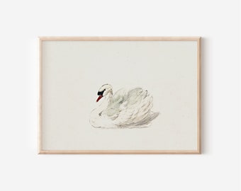 Vintage Nursery Wall Decor | Antique Swan Watercolor Print | Digital PRINTABLE | Vintage Summer Painting |811