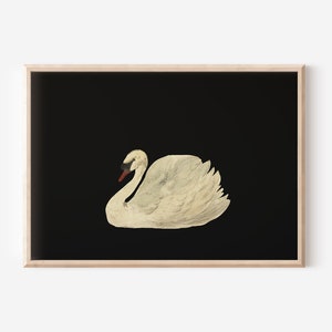 Antique Swan Watercolor Painting Neutral Wall Art Large Wall Art Minimalist Vintage Swan Print Downloadable Prints image 8