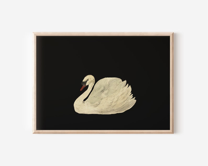 Antique Swan Watercolor Painting Neutral Wall Art Large Wall Art Minimalist Vintage Swan Print Downloadable Prints image 8