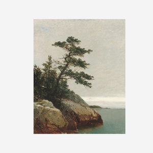 May include: A painting of a lone pine tree growing on a rocky cliff overlooking a calm body of water. The sky is a muted gray with wispy clouds. The tree is a dark green and the rocks are a mix of brown and gray.