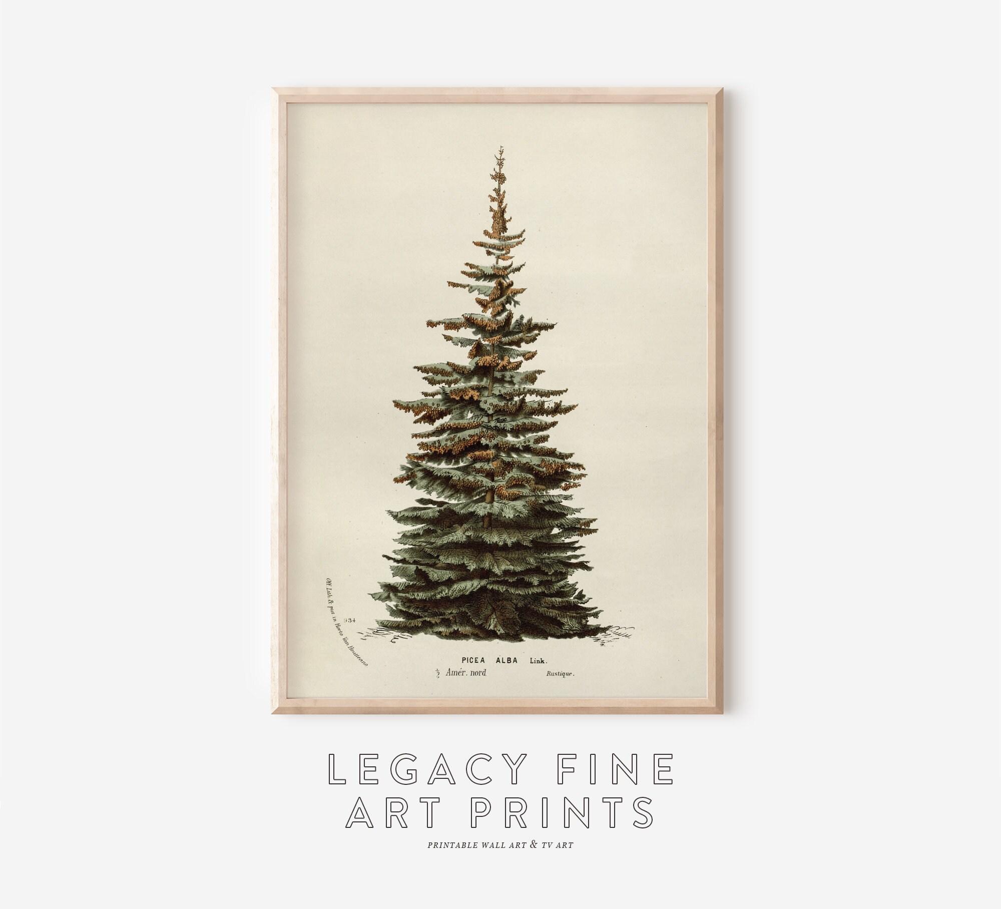 neutral-christmas-tree-wall-art-vintage-printable-holiday-decor-rustic-winter-tree-print-etsy