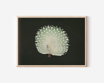 Vintage Peacock Print | Sage Green Cottagecore Wall Art (Digital Download)