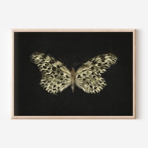 Minimalist Butterfly Wings Wall Art | Vintage Butterfly Oil Painting | Antique Botanical Downloadable Print | Nursery Wall Decor