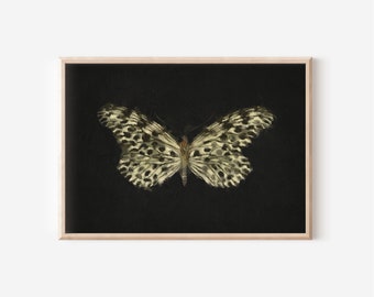 Minimalist Butterfly Wings Wall Art | Vintage Butterfly Oil Painting | Antique Botanical Downloadable Print | Nursery Wall Decor