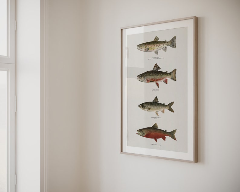 May include: A framed print featuring four different types of fish. The fish are depicted realistically in various poses. The print is on a white background and has a simple, elegant frame.