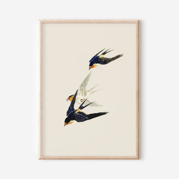 Vintage Bird Drawing | Cottage Core Decor | Nursery Printable | Neutral Bathroom Wall Decor | Gallery Wall Art | Mantel Decor