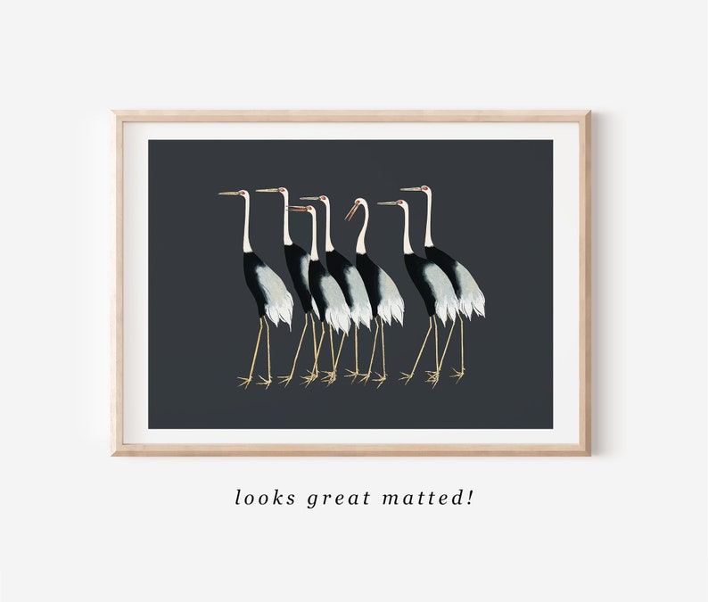 Vintage Bird Wall Art Downloadable Prints | Japanese Crane Print Farmhouse Decor | Coastal Bird Print | Bird Lover Gift image 2